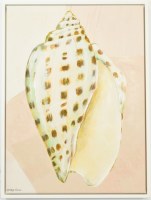 32" x 24" Brown Spotted Seashell 1 Coastal Canvas in a White Frame