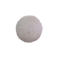 24" Round White Polyresin Faux Mushroom Coral Wall Art Plaque