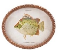 11" x 13" Oval Green Spots Fish Framed Print Under Glass