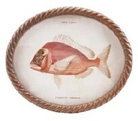11" x 13" Oval Red Fish Framed Print Under Glass