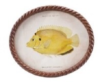 11" x 13" Oval Yellow Fish Framed Print Under Glass