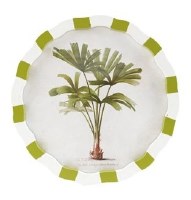 12" Round Raphis Palm Tree Framed Print