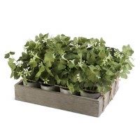 6" Faux Green Shamrocks in Gray Pots