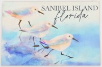 4" x 6" "Sanibel Island Florida" Sandpipers Wood Post Card