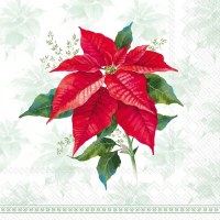 6.5" Square Red Poinsettia on Green Christmas Lunch Napkins