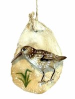 3" Painted Sandpiper Oyster Shell Ornament