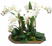 29" Faux Five Orchids in a Brown Oval Wood Bowl