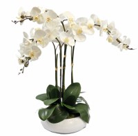 30" Four White Orchid in Low White Bowl