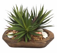 11" Faux Green Succulents and Shells in a Oval Wood Bowl