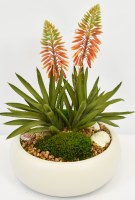 17" Faux Orange Flower and Green Succulents With Seashells in a White Ceramic Bowl