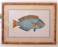 18" x 24" Blue and Orange Coastal Fish Print in a Rattan Frame Under Glass