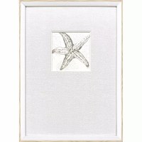 21" x 15" Neutral Starfish Coastal Framed Print Under Glass