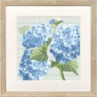 27" Sq Blue Hydrangeas Botanical Framed Print Under Glass