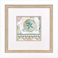 18" Sq Multicolor Sand Dollar Coastal Framed Print Under Glass