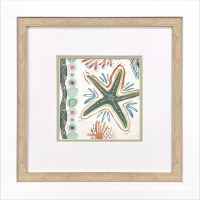 18" Sq Multicolor Starfish Coastal Framed Print Under Glass