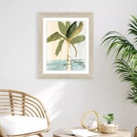 36" x 30" Oasis Palm Tree 2 Coastal Framed Print Under Glass