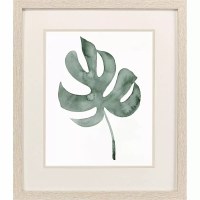 20" x 17" Monstera Leaf Tropical Framed Print Under Glass