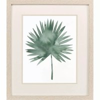 20" x 17" Palmetto Leaf Tropical Framed Print Under Glass