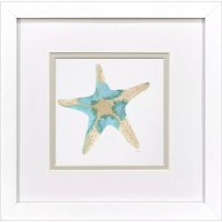 11" Sq Turquoise and Tan Starfish Coastal Framed Print Under Glass