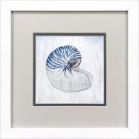 11" Sq Blue Nautilus Shell Coastal Framed Print Under Glass