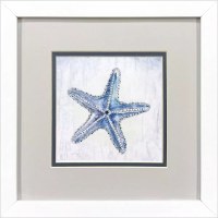 11" Sq Blue Starfish Coastal Framed Print Under Glass