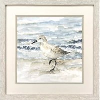 17" Sq Sandpiper With One Leg Up Coastal Framed Print Under Glass