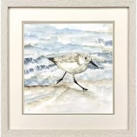 17" Sq Sandpiper With Two Legs on the Shore Coastal Framed Print Under Glass