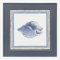 17" Sq Blue Conch Shell Coastal Framed Print Under Glass