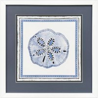 17" Sq Blue Sand Dollar Coastal Framed Print Under Glass