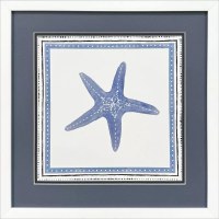17" Sq Blue Starfish Coastal Framed Print Under Glass