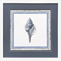17" Sq Blue Seashell Coastal Framed Print Under Glass