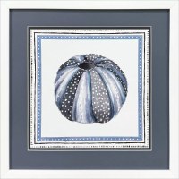 17" Sq Blue Sea Urchin Coastal Framed Print Under Glass
