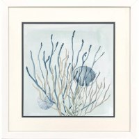 17" Sq One Blue Seashell Coastal Framed Print Under Glass