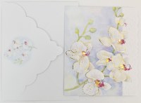 Box of 10 White Orchids Botanical Note Cards