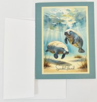 Box of 10 Sanibel Island Manatees Coastal Note Cards