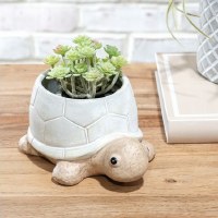 7" Beige Turtle Ceramic Planter