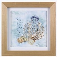 12" Sq Jellyfish With a Seafan Coastal Framed Print