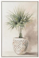 44" x 30" Fan Palm Tree in a Pot Framed Tropical Canvas