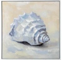 20" Sq Seashell Facing Downwards Framed Coastal Canvas