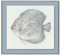 27" Sq Blue Big Face Fish Framed Coastal Canvas