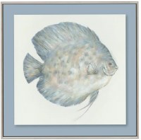 27" Sq Blue Small Face Fish Framed Coastal Canvas