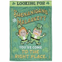 18" x 13" "Looking For Shenanigans and Malarkey?" Mini St.Patrick's Day Garden Flag