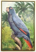 37" x 25" Jungle Parrot 2 Tropical Canvas in a Gold Frame