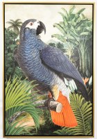 37" x 25" Jungle Parrot 1 Tropical Canvas in a Gold Frame