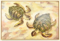 25" x 37" Two Sea Turtles on the Sand Coastal Canvas in a Natural Frame