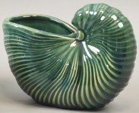 6" Green Ceramic Nautilus Shell Coastal Pot