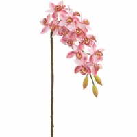 30" Faux Pink Cymbidium Orchid Spray