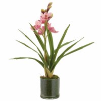 18" Faux Pink Cymbidium Plant in Clear Plastic Pot