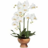 27" Faux White Phalaenopsis Orchid in Wood Vase