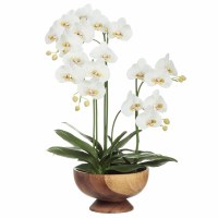 32" Faux White Phalaenopsis Orchid in Wood Vase